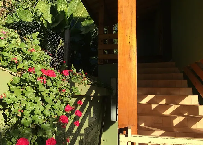 Pet friendly Residencial Gurtler 1 Apartment Gramado