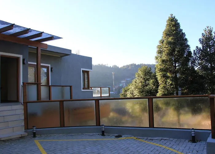 Pet friendly Apartamentos Zidane Gramado